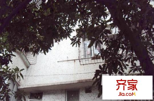 河邊路小區(qū)外景圖