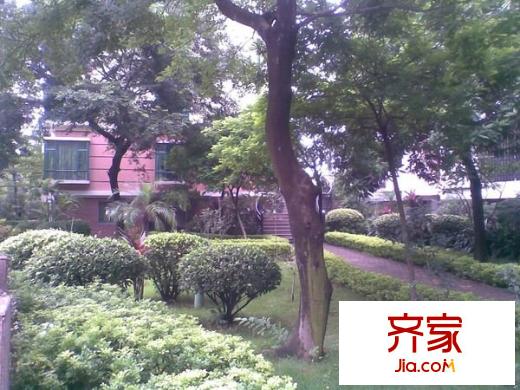 星照人家花園外景圖 