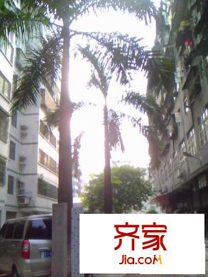 佳景樓