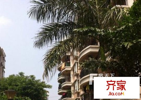 黃金花園外景圖