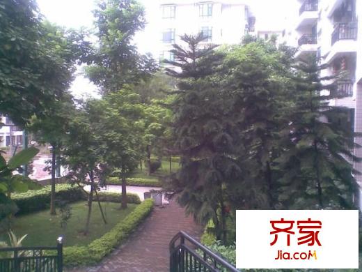 星照人家花園外景圖 
