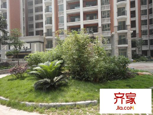 新君匯花地灣實(shí)景圖