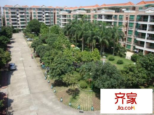 順德碧桂園東苑外景圖 
