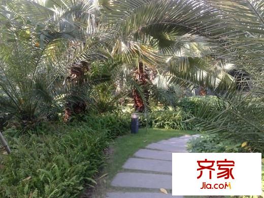 保利花園二期外景圖 