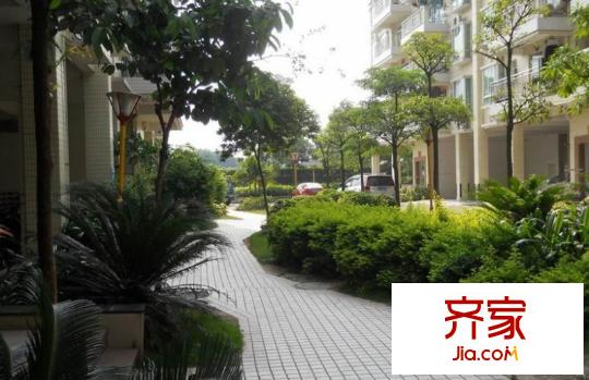 濱江名苑外景圖