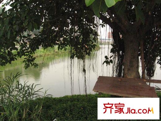 保利東湖林語一期南區(qū)工程進度圖（2010.9.9 )