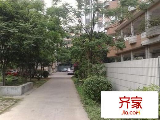 玫瑰大街小區(qū)外景圖 