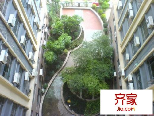 帝峰國際