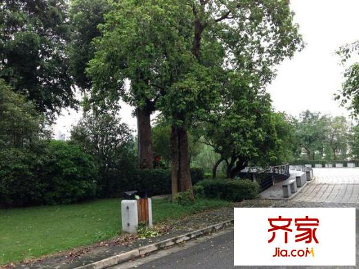 東逸灣四期外景圖