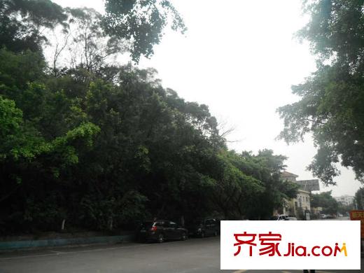 東圣維拉周邊環(huán)境（2014.02.26）