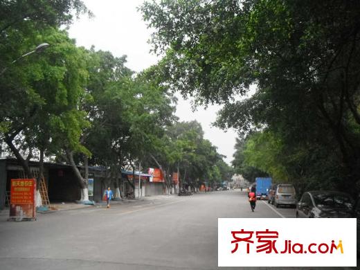 東圣維拉小區(qū)環(huán)境（2014.02.26）