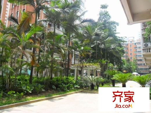 玫瑰大街小區(qū)外景圖 