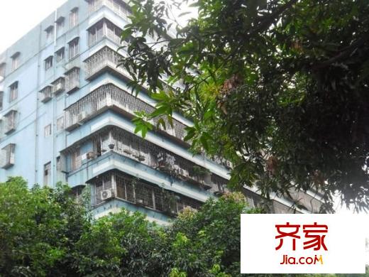 玫瑰大街小區(qū)外景圖 