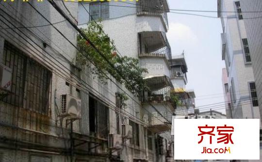 龍華