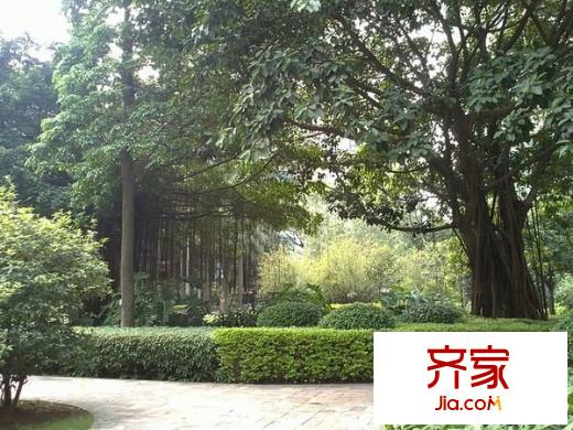 富豪花園外景圖桂城 