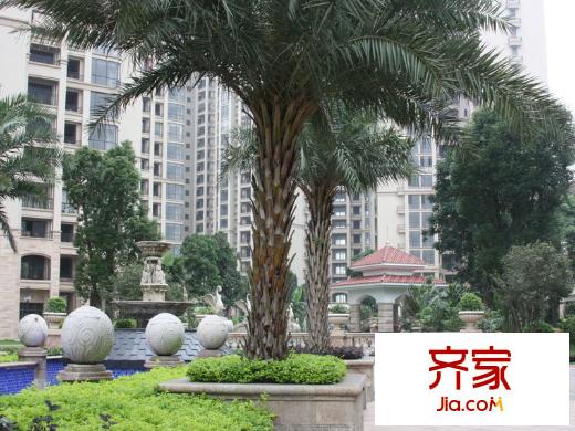 金海岸花園小區(qū)實(shí)景2013-05-06