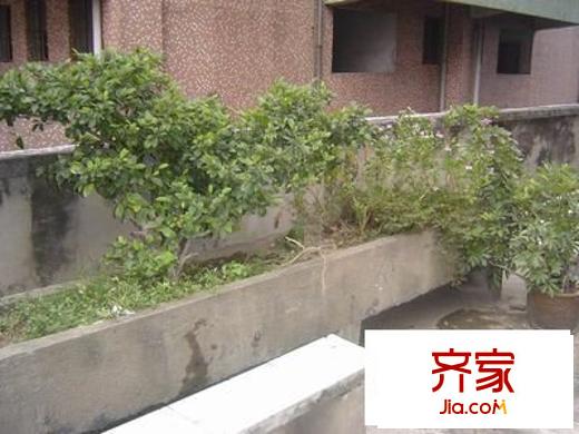 岐城大廈外景圖 