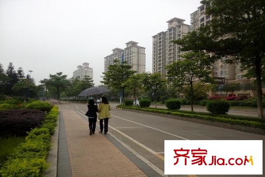 佛奧灣周邊道路