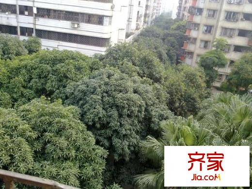 同濟新村外景圖 