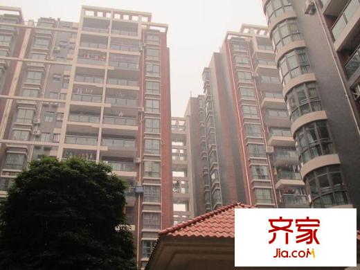 風度國際名苑外景圖 
