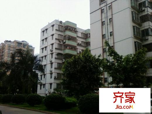 金菊平方米外景圖 