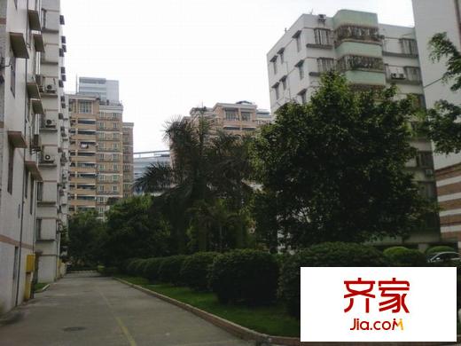 金菊平方米外景圖 