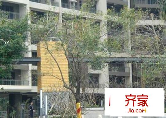 新境界花園