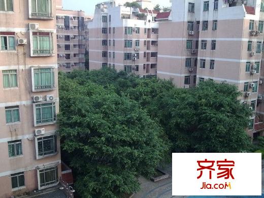 新荔灣花苑外景圖 