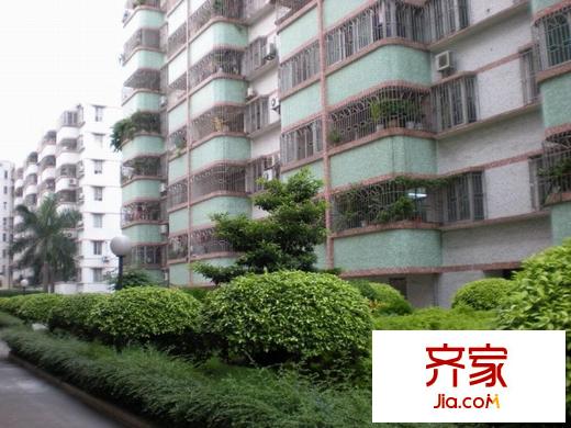 金菊平方米外景圖 
