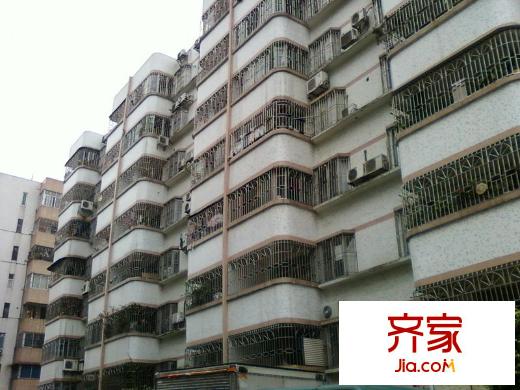 金菊平方米外景圖 