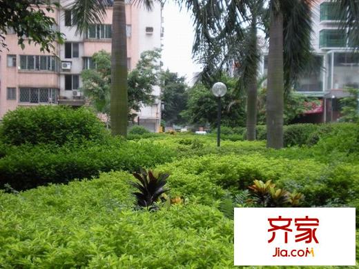 金菊平方米外景圖 