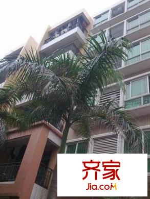 金葉陽光新城外景圖 