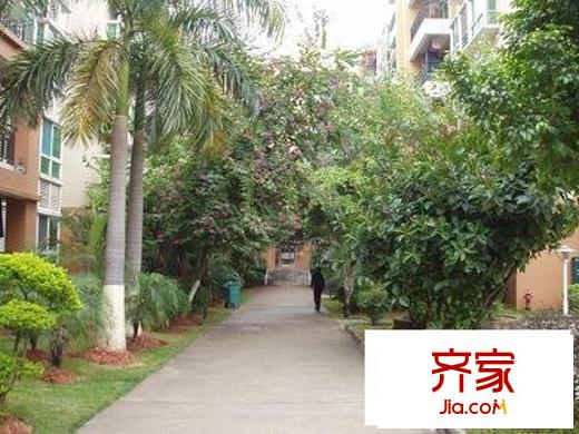 金葉陽光新城外景圖 