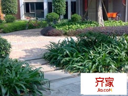 金葉陽光新城外景圖 