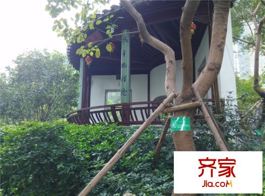 三盛頤景園項目園林（2015.11.15）