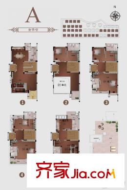 瑞平方米花園A戶型506平方米5房4廳8衛(wèi) 5室4廳8衛(wèi)1廚