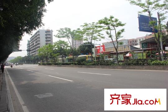 碧桂園?華府（大瀝）廣云路