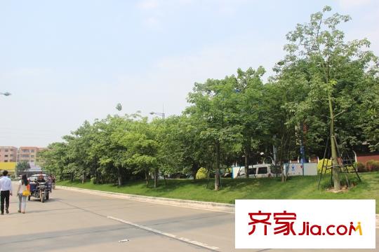 碧桂園?華府（大瀝）周邊環(huán)境
