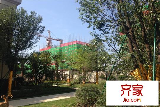 中國鐵建國際公館小區(qū)園林2015-11-24