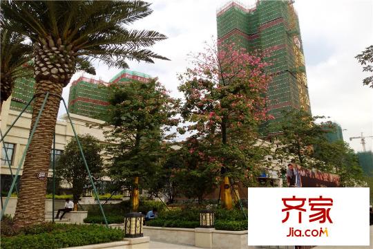 中國鐵建國際公館小區(qū)園林實景2015-11-24