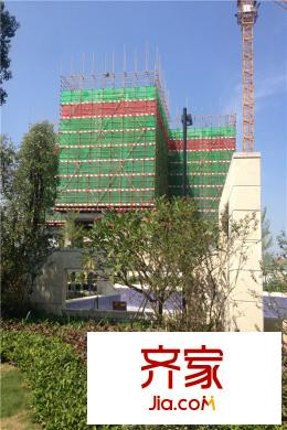 中國鐵建國際公館小區(qū)園林2015-11-24
