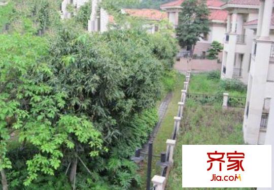 金穗花園別墅外景圖