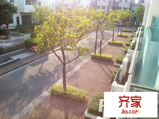 東逸灣水漾林岸外景圖
