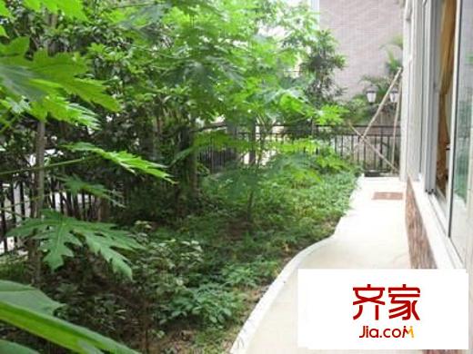 嘉慶花園外景圖 