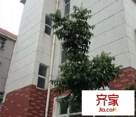 美圖別苑別墅外景圖