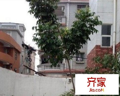 美圖別苑別墅外景圖