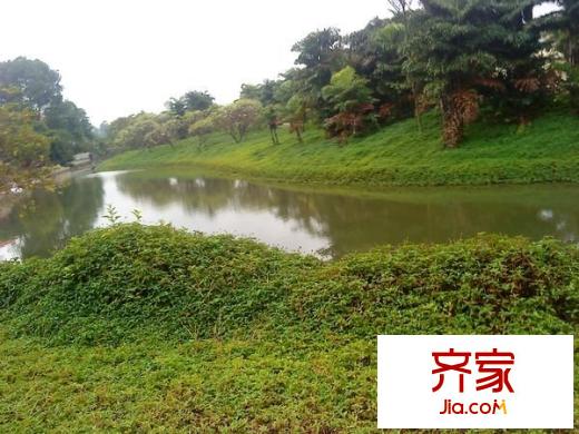 君蘭國際高爾夫別墅外景圖 