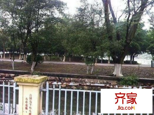 湖景花苑