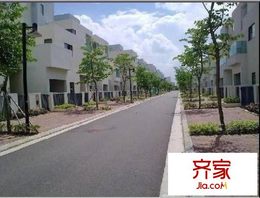 東逸灣水漾林岸