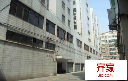 新城樓外景圖